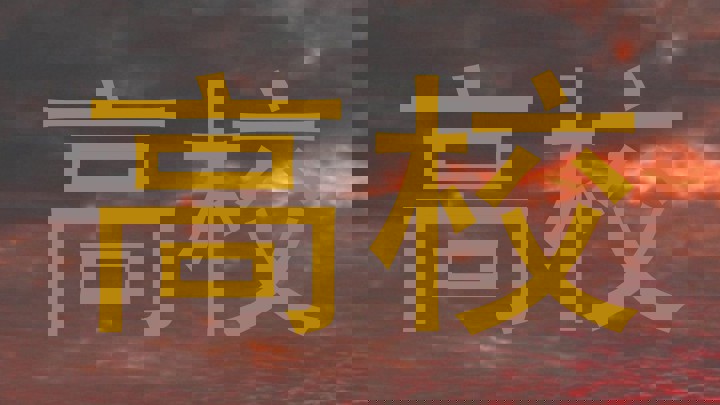 高校