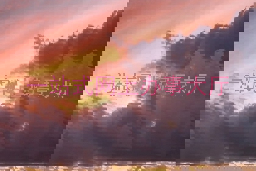 一站式网上办事大厅