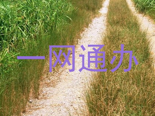 一网通办