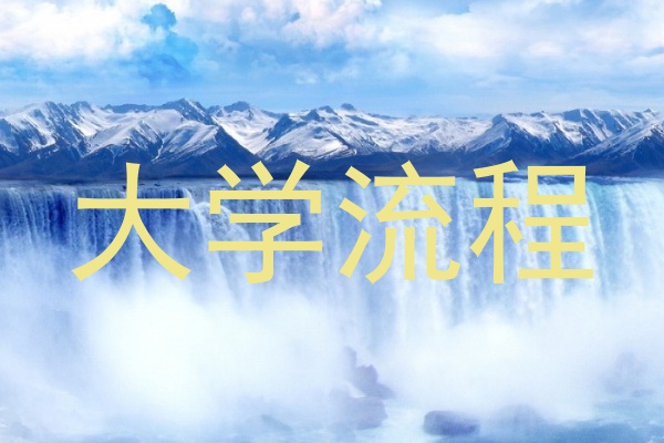 大学流程
