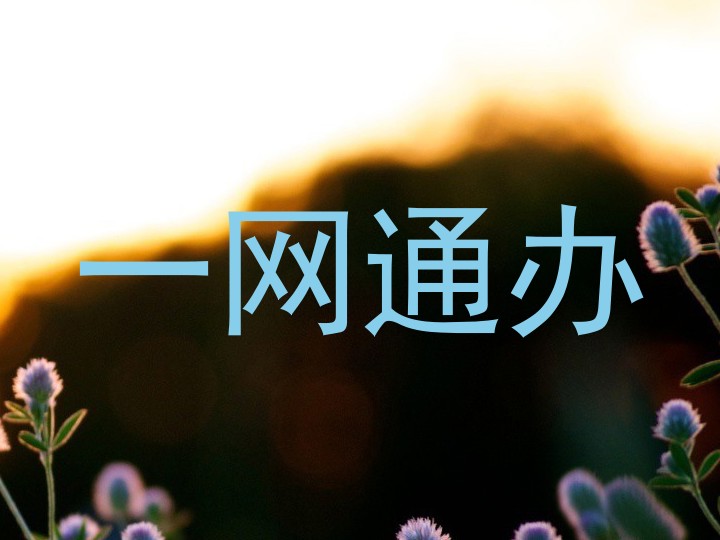 一网通办