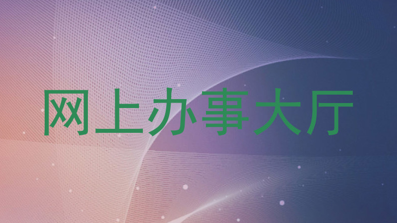 网上办事大厅