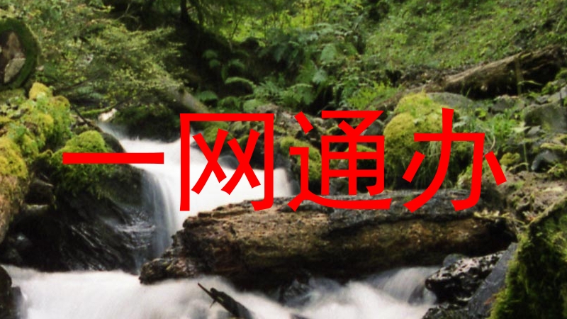 一网通办