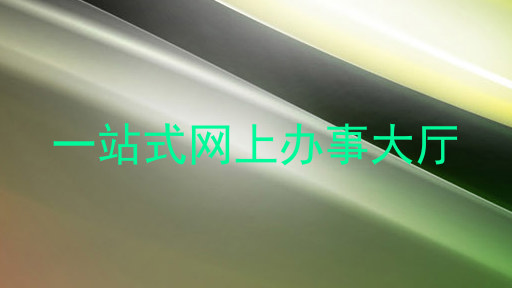 一站式网上办事大厅