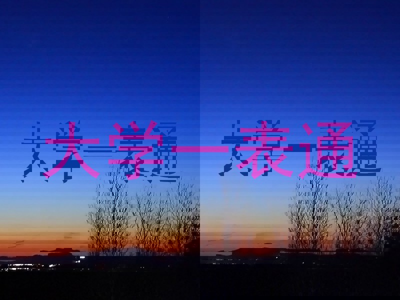 大学一表通