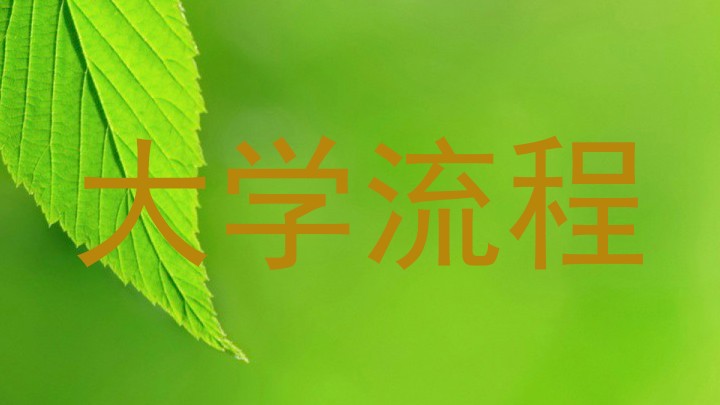 大学流程