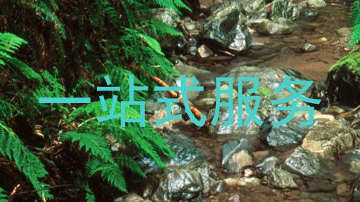 一站式服务