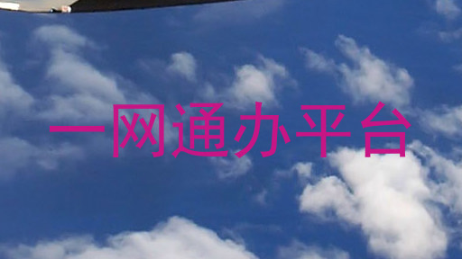 一网通办平台