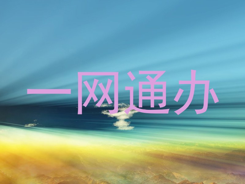 一网通办
