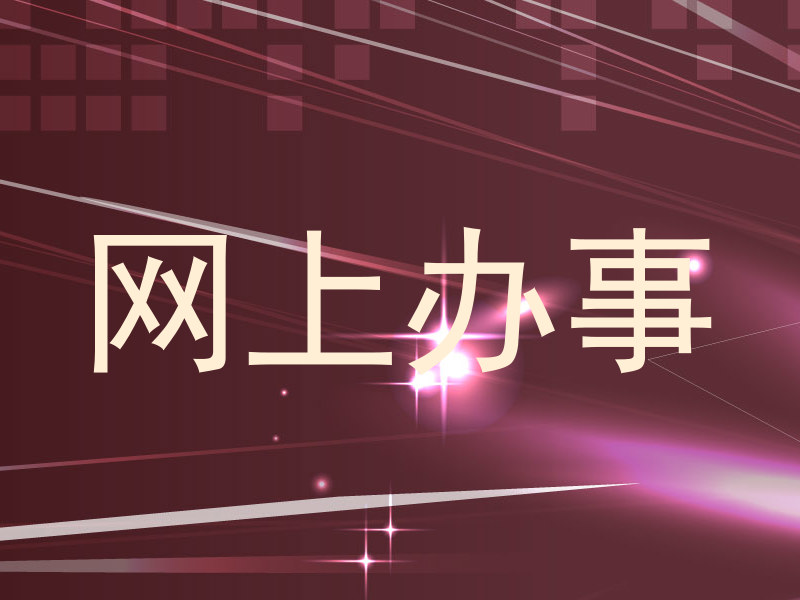 网上办事