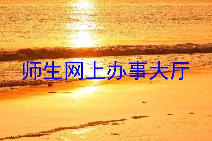 师生网上办事大厅