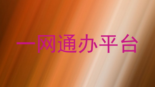 一网通办