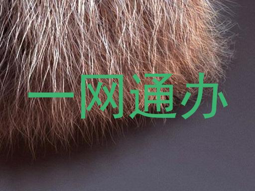 一网通办