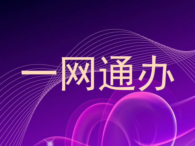 一网通办