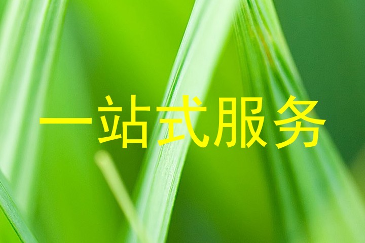 一站式服务