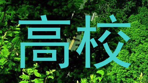 高校