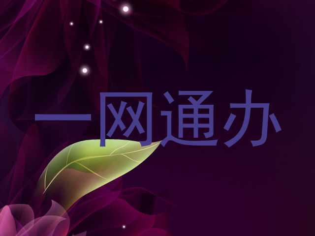 一网通办