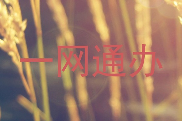 一网通办