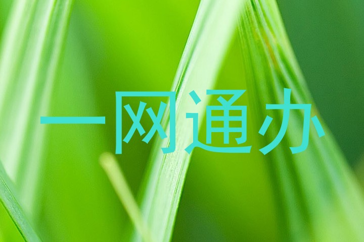 一网通办