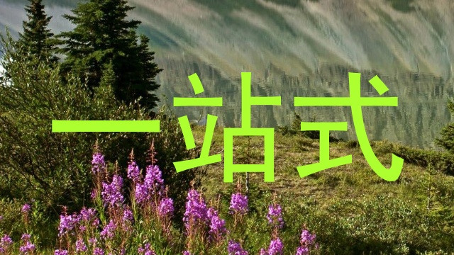 一站式