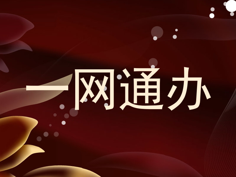 一网通办