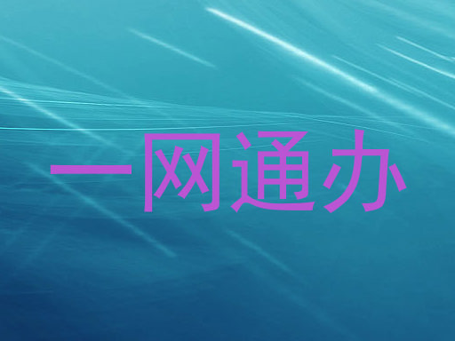 一网通办