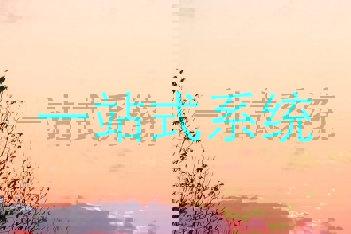 一站式系统