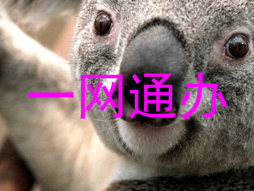 一网通办