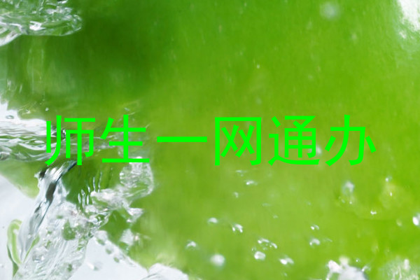 师生一网通办