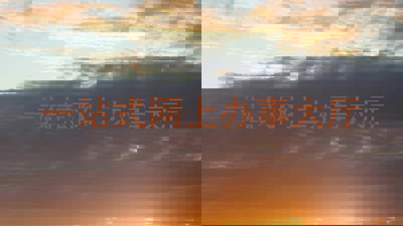 一站式网上办事大厅