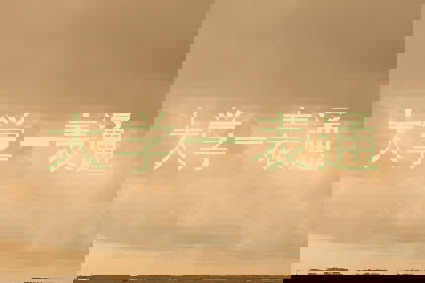 大学一表通