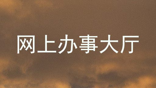 网上办事大厅