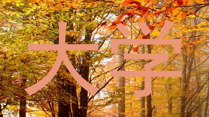 大学