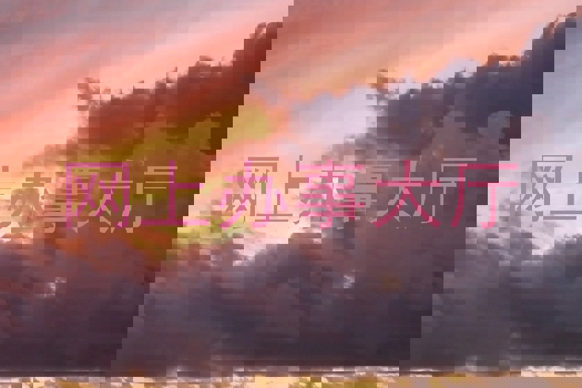 网上办事大厅