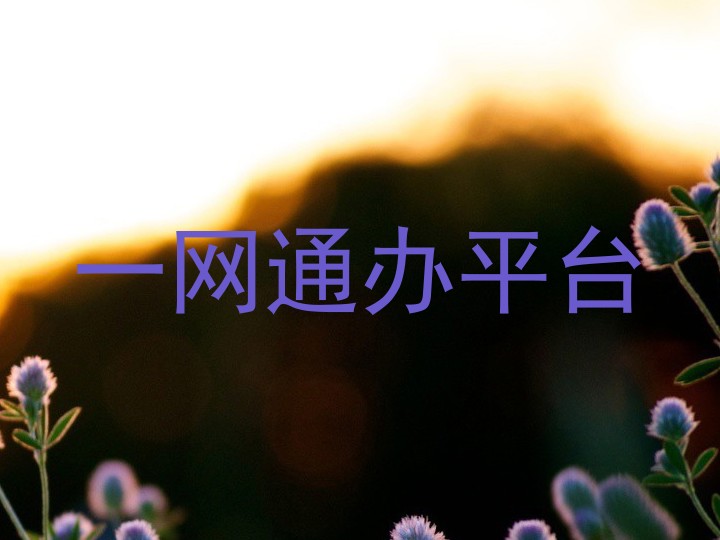大学一表通