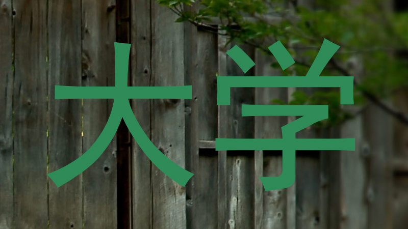 大学