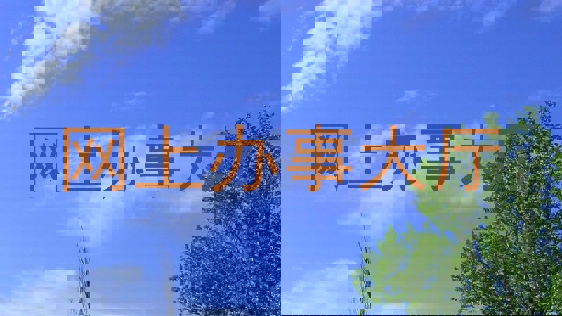 网上办事大厅