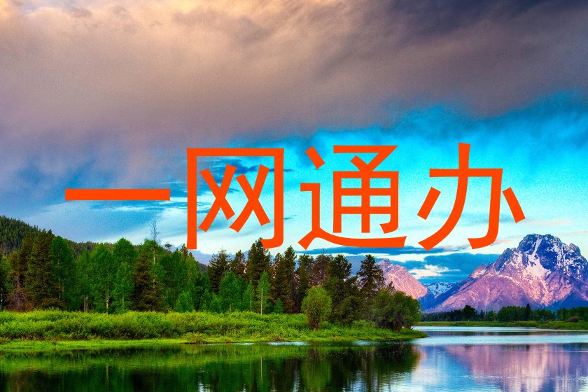 一网通办