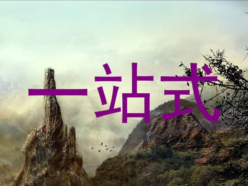 一站式