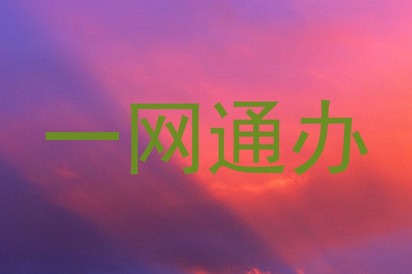 一网通办