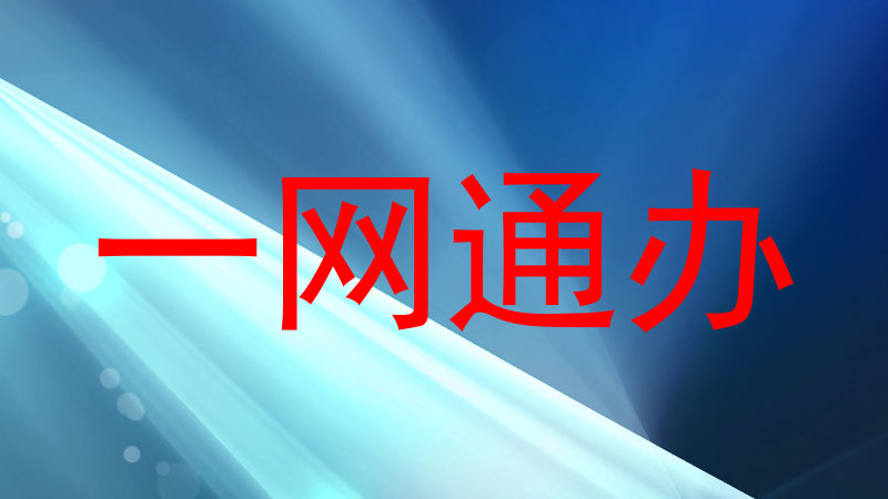 一网通办