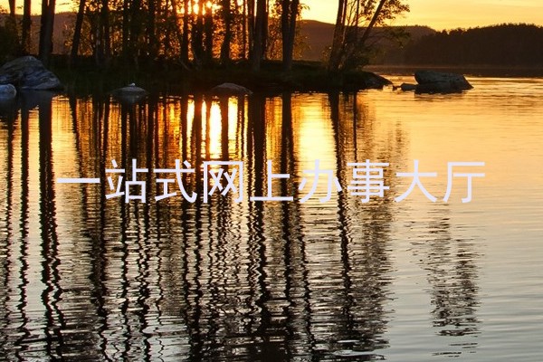 一站式网上办事大厅