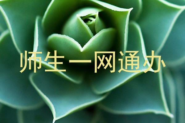 师生一网通办