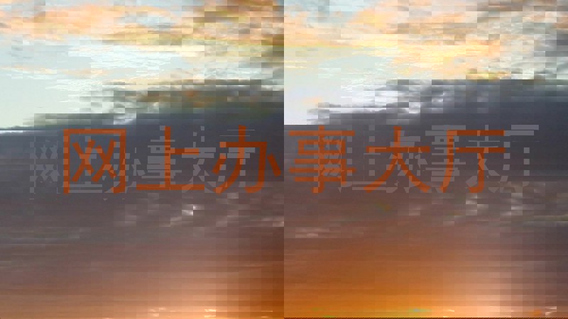 网上办事大厅