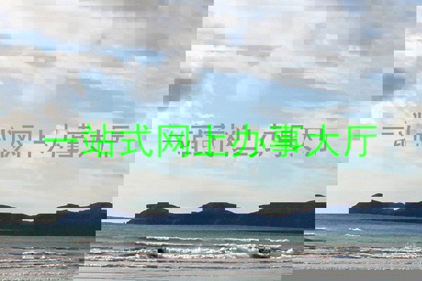 一站式网上办事大厅