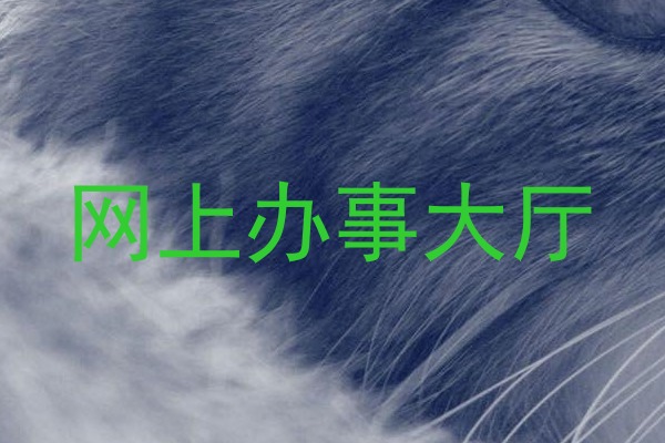 网上办事大厅