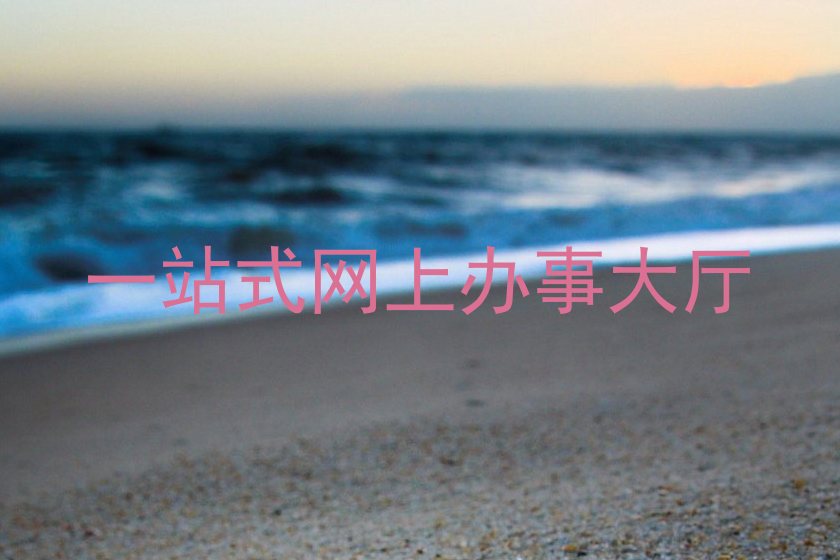 一站式网上办事大厅