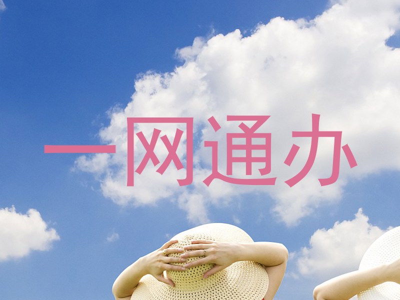 一网通办