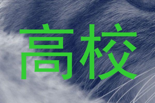 高校