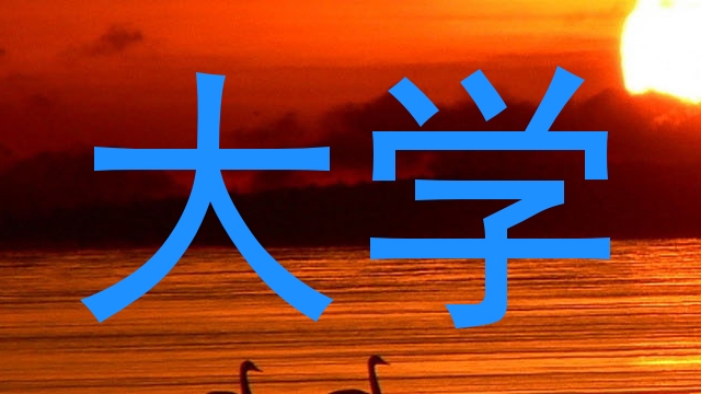 大学